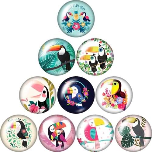 Lovely Bird Ramphastos toco 10pcs mixed 12mm/16mm/18mm/25mm Round photo glass cabochon demo flat back Making findings ZB1099