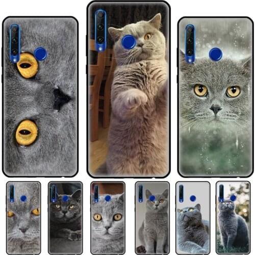 British Shorthair Cat Case For Huawei Honor 10 Lite 10X 8 9 20 7A 4C 6C Pro 7C 10i 6A 8A 8S 9S 7X 9X 8X Cover