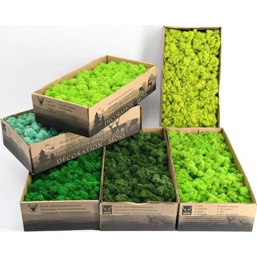 Artificial Green Plant Immortal Fake Flower Moss Grass for Home Living Room Decorative Wall DIY Flower Mini Accessories