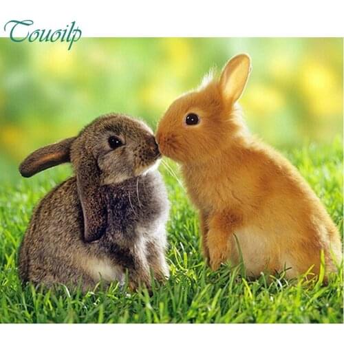 Free Shipping 5D Resin Full Drill Square Diamond Painting Rabbit Kiss Love Embroideri Cross Stitch Hobbies And Crafts Wall Decor