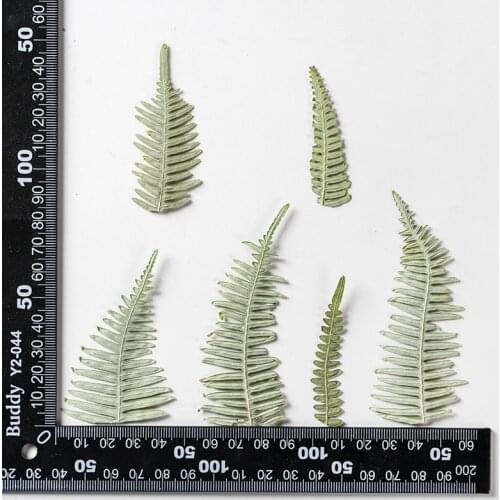 120pcs Pressed Dried Flower Dicranopteris dichotoma Leaf Herbarium For Make Up Nail Art Jewelry Bookmark Phone Case Card DIY