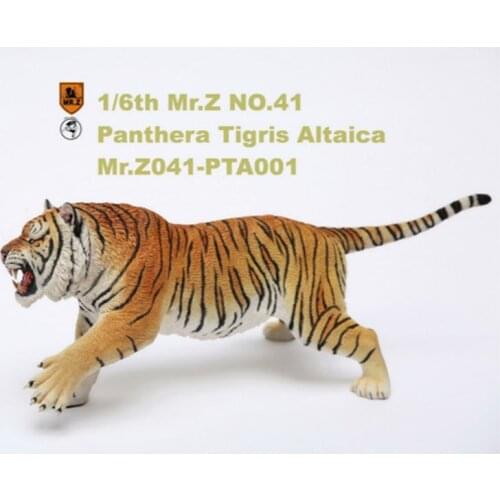 About 52CM Mr.Z 1/6th Mr.Z041-PTA001 simulation Asian tiger panthera tigris altaica animal Resin model Toy decoration Gifts show