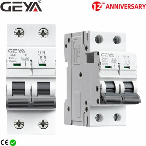 GEYA GYM9 2Pole MCB Din Rail Mini Circuit Breaker 230V 6A-63A AC Type China MCB Factory