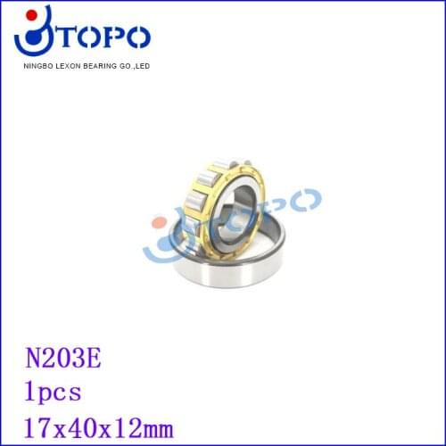 17*40*12 Cylinder roller bearing N203E