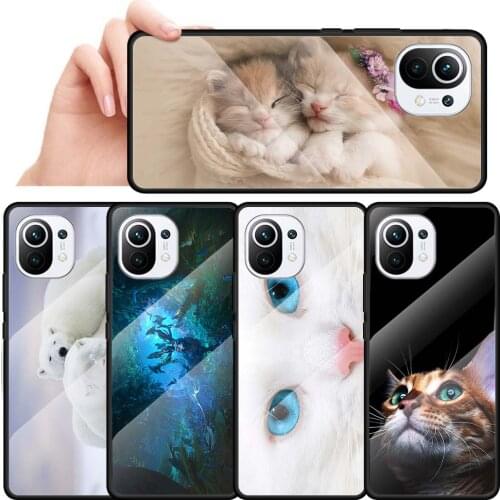 Tempered Glass Case Coque For Xiaomi Mi Poco X3 NFC 11 9T 10T Pro Note 10 Lite Back Cover Shell Capa Cartoon Cute Cat