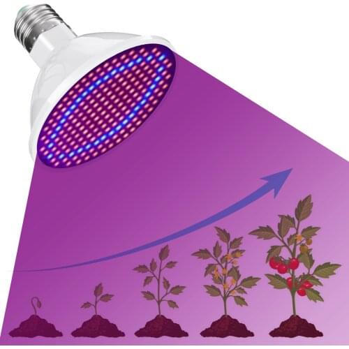 Led Grow Light Voltage Brightness Vegetable Seedling Fill Light Potted Succulent Plant Grow Light Seedling Cultivation Lamp