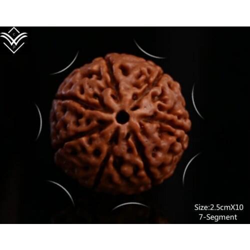 Rudraksha 7 Segments 25mmX10 Fleshy Buddha Bead Bracelet