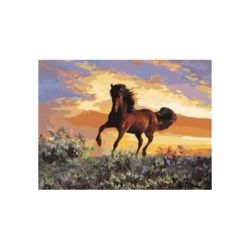 Wild horse painting by numbers hand painted coloring by numbers on canvas Wall Pictures for Living Room