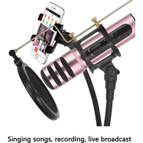 Qijiagu Microphones