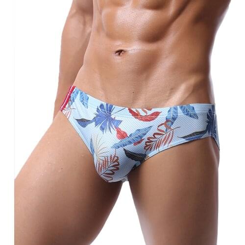Sexy Men Underwear Mesh Breathable Printed Briefs Bugle Pouch Underpants Slip Homme Sissy Panties Ropa Interior Hombre Briefs