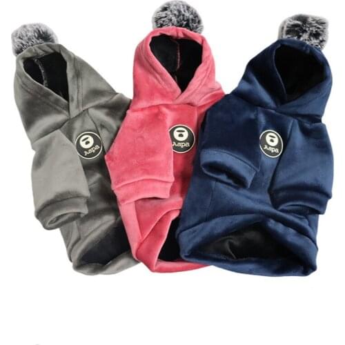 Fur Ball Dog Sweater Hooded Winter Dog Clothes Gold Velvet Thickened Jacket Clothes Cat Pet Costomes