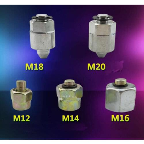 M12,M14,M16,M18,M20 common rail plug for common rail tube, Common Rail Fuel Injector Cap T0139