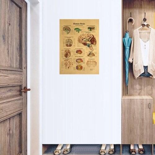 Human Body Illustration Brain Kraft Paper For Classroom School Decoration Brain System Poster Anatomical Chart Home Decor