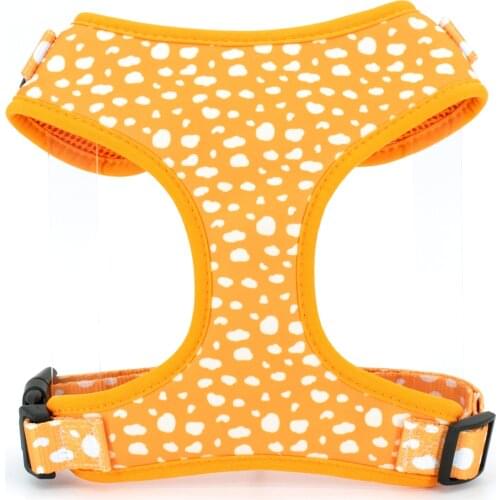 Collarlogo Harnesses