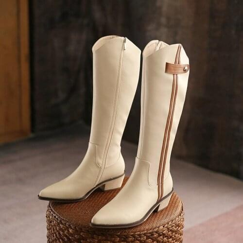 Female Pointed Toe Fashion High Heel Boots 2021 Winter Womens Western Boots Ladies Knee-length Boots with Zipper Femmes Bottes