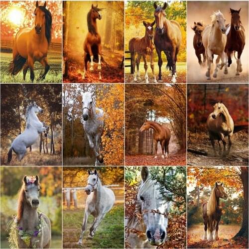 EverShine Diamond Painting Animal Full Square Diamond Embroidery Horse Cross Stitch 5D DIY Needlework New Arrival Handicraft