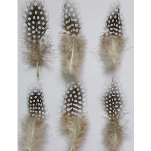 Pretty Wholesale 20pcs Natural Pearl Chicken Feathers 6-10 CM DIY Jewelry Clothing Hat Decoration Accessories