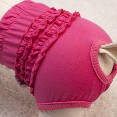 NEW Dog Diaper Physiological Pants Sanitary Washable Female Dog Panties Shorts Underwear Briefs For Dogs