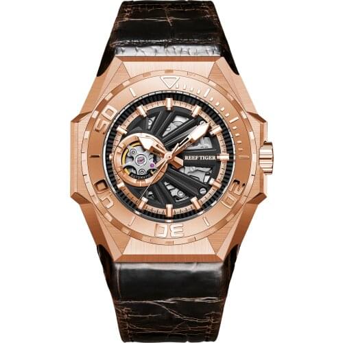 Reef Tiger luxury watches for mens, men automatic watch mechanical wristwatch 100m waterproof skeleton sapphire mirror RGA6903-S