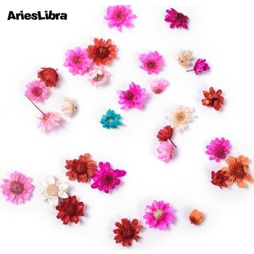 AriesLibra 3D Dried Flowers Nail Decorations Real Floral Design Preserved Flowers Nail Art Decorations Decal Nails Accessories