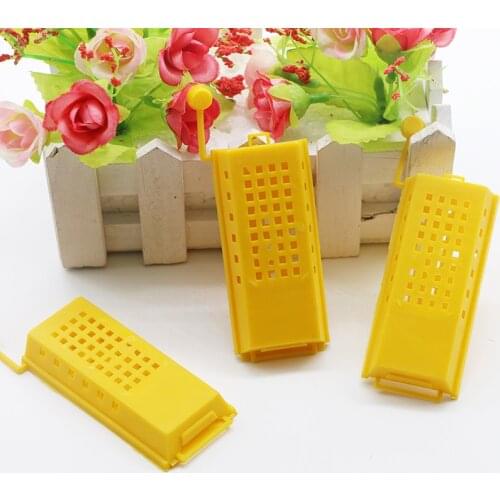 100pcs queen bee cage yellow plastic Imprison queen bee Queens large cage Transport queen Breeding queen bee