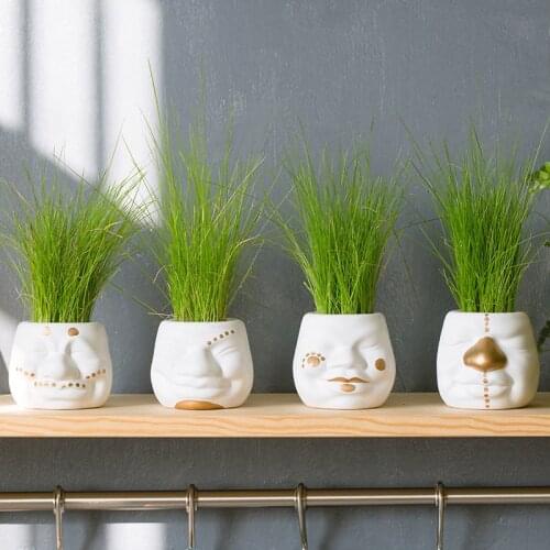 Creative clown vase ceramic craft personality potted succulent flower pot plant grower miniature garden decoration ornaments