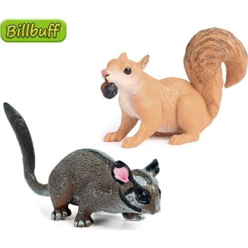 2020 Simulation Wild Animal PVC Glider Squirrel Model Action Figures Collection Miniature Cognition Educational Toy for Children