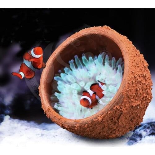 Anemone Nest Prevent Running Away Clay and Live Rock Made for Aquarium Reef Tank aquarium plants