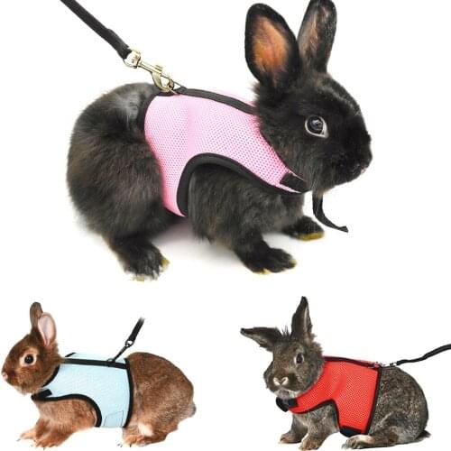 Bayppy Animal Care Items
