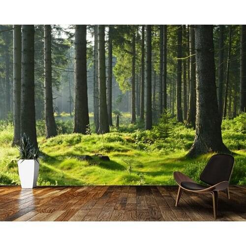 Papel de parede Sun shining through spruce forest natural landscape 3d wallpaper,living room tv sofa wall kitchen bedroom mural