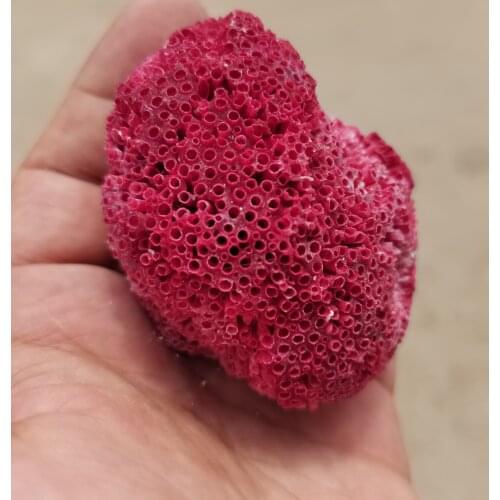 AAAAAA+100% Natural red Coral Aquarium Decor Fish Tank Decoration Aquarium Landscaping Ornaments Home Decoration