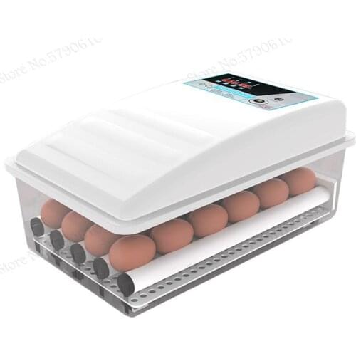 Chick Incubator Small Household Incubator Incubator Automatic Incubator Water Bed Incubator Household