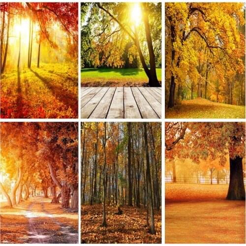 SHENGYONGBAO Natural Scenery Photography Background Fall Forest Landscape Travel Photo Backdrops Studio Props 1911 CXZM-37