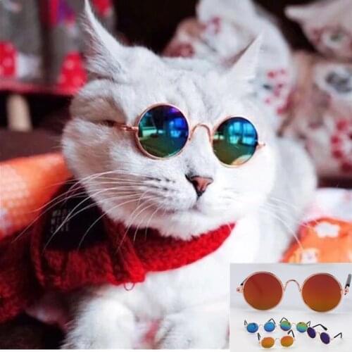 Одежда для кошек Suonzaoo China At AliExpress