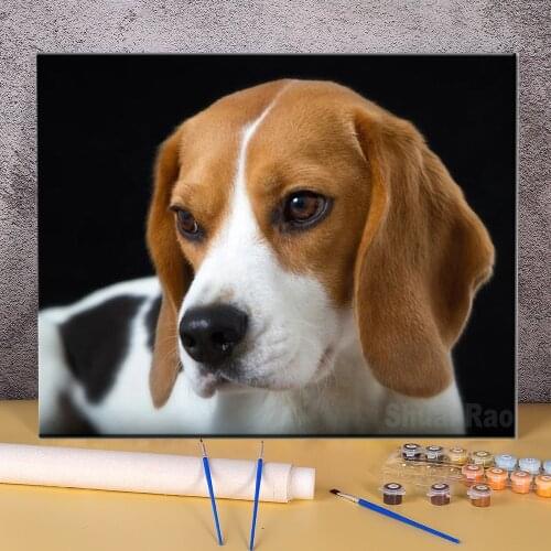 Animal Dog Beagle Coloring By Numbers Painting Package Acrylic Paints 40*50 Boards By Numbers Paintings Adults Handicraft