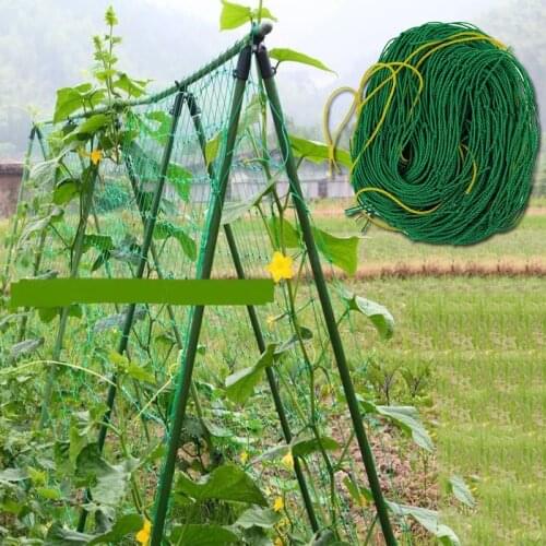 27Strands Garden Plants Climbing Net Nylon Morning Glory Flower Vine Netting Support Grow Net Holder Fence Crops Protective Mesh