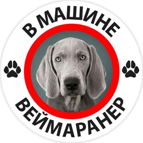 B0297#10/13/15 cm Weimaraner In the Car Self-adhesive Decal Car Sticker Waterproof Auto Decors on Bumper Rear Window