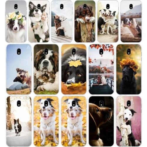 257H Cute Dog Cat Soft Silicone Tpu Cover phone Case for Samsung j3 j5 j7 2016 2017 a3 2016 a5 2017 a6 2018