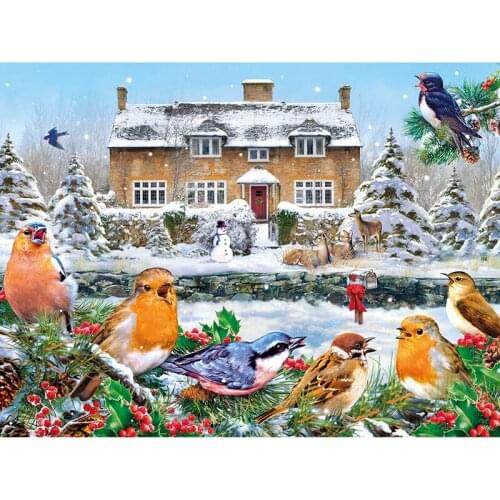 Full square 5D DIY diamond embroidery Winter birds snow house 3d diamond painting Cross Stitch Rhinestone mosaic home decoration