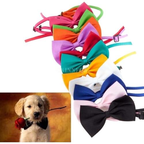 1000Pcs/Lot Adjustable Dog Bow Tie Neck Accessory Necklace Collar Puppy Bright Coloured Pet Bow