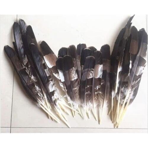 Free shipping wholesale high quality 50pcs natural Crested Serpent Eagle feathers 25-45cm / 12-18inch Decorative diy collect