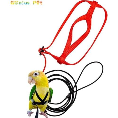 Gonius Pet Bird Rings