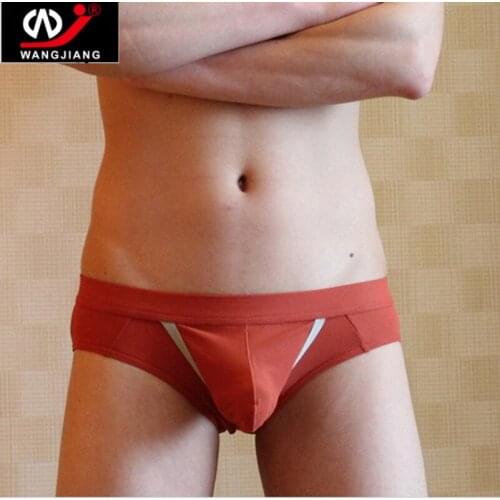 Hot sell WJ Brand Underwear Mens Briefs Underpants Men Panties Comfortable Underwear 2pcs/lot