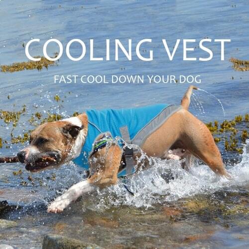 Golly golly Vests For Dogs