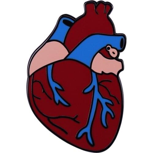 We love hearts and this is our fun anatomical heart lapel pin. It is red and blue and suggest a more playful look at it