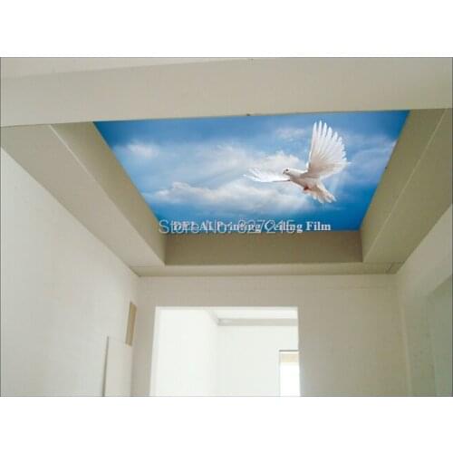 SKB-003Eagle flying in the blue sky printing stretch film a new sky decoration material in living room