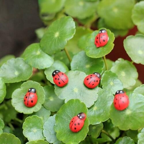 10Pcs Mini Ladybird Red Beetle Ladybug Fairy Doll House Garden Decor Ornament