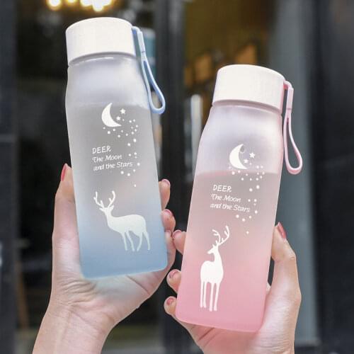 500ml shatter-resistant small daisy plastic cup student sports fitness scrub cute simple sports bottle ins net red water bottle