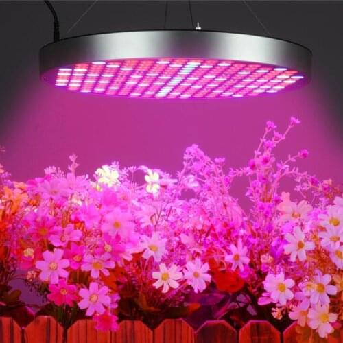 75 Lamp Beads-250 Lamp Beads Grow Light Indoor Plants Flower Seeds Phyto Lamp Full Spectrum Plant Light Vertical Farming Cultiva