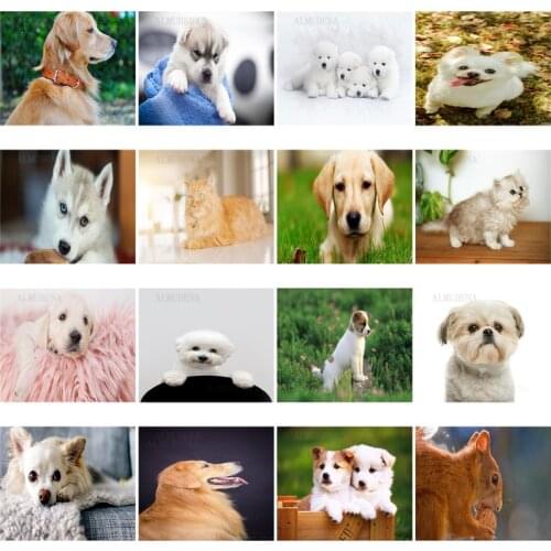 Diamond Painting Animal Face Dog Golden Hair Cross Stitch Home Decoration Square Diamond Round Diamond Handmade Gift